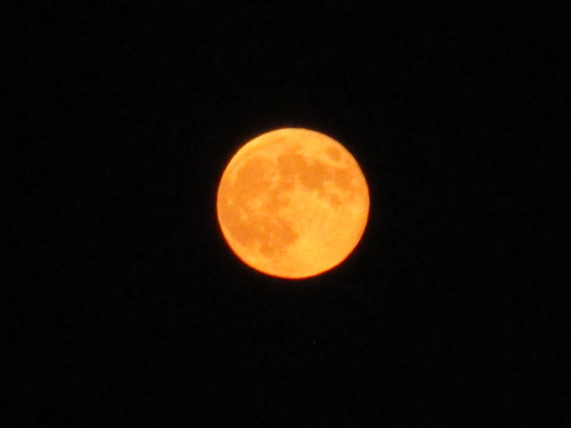 f:id:tomoko-moose:20140909182808j:image:w360