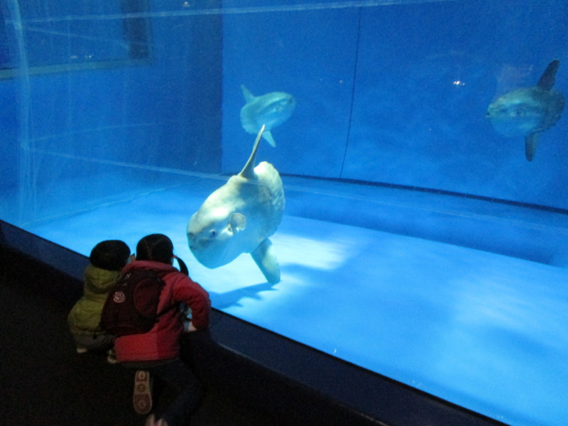 f:id:tomoko-moose:20150324094243j:image:w360 f:id:tomoko-moose:20150324094243j:image:w360