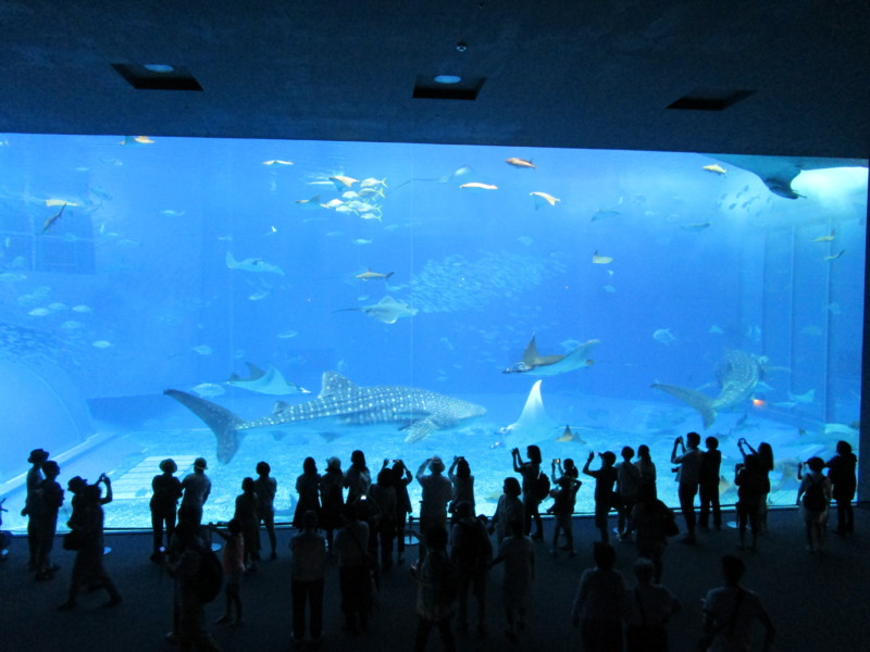 f:id:tomoko-moose:20150525105655j:image:w360 f:id:tomoko-moose:20150525105655j:image:w360