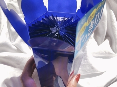 f:id:tomoko1217:20191126184245j:plain