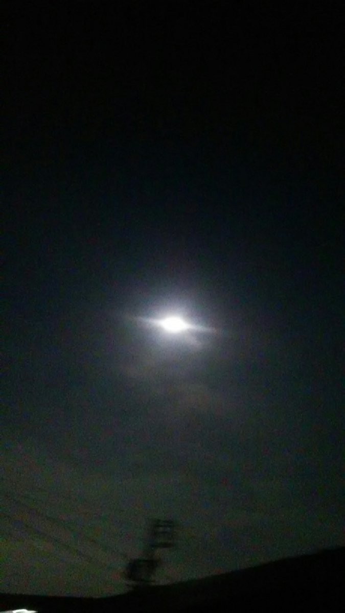 f:id:tomoko63:20190914135556j:plain