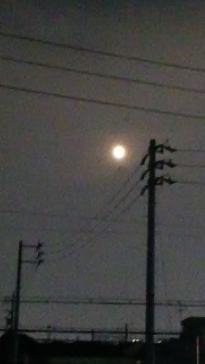 f:id:tomoko63:20200408222935j:plain f:id:tomoko63:20200408222935j:plain
