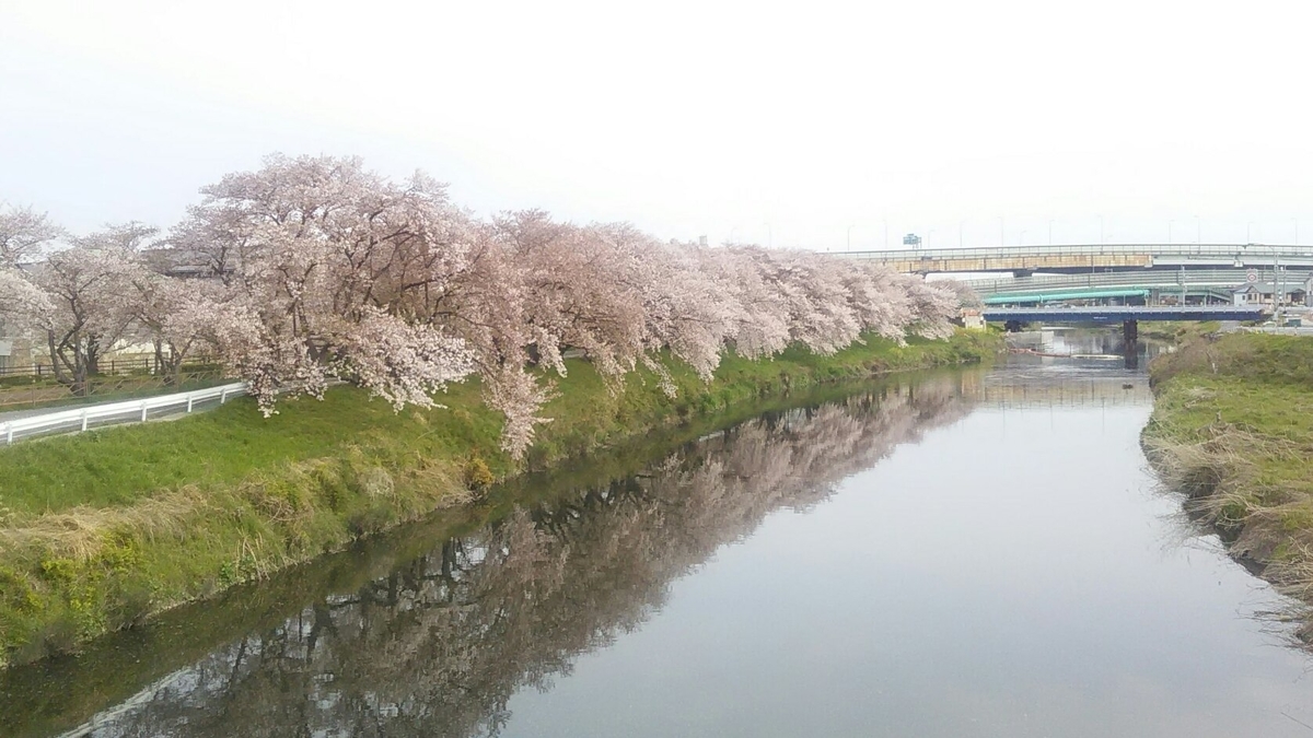f:id:tomoko63:20200413214314j:plain f:id:tomoko63:20200413214314j:plain