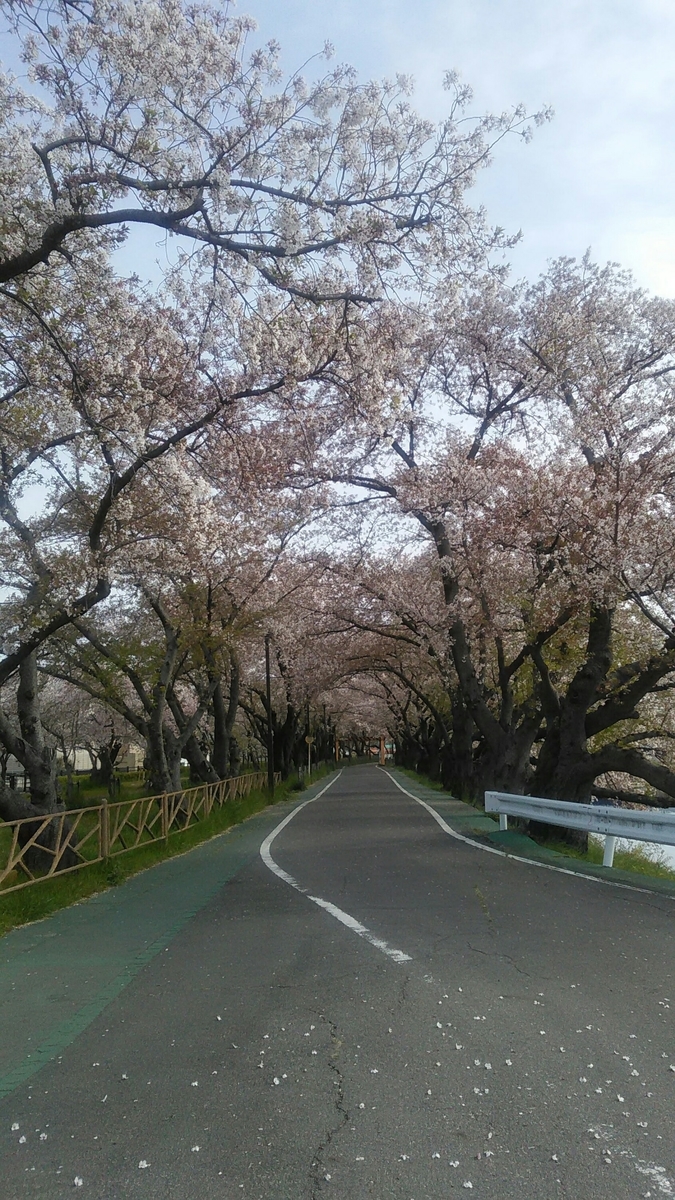 f:id:tomoko63:20200413222458j:plain f:id:tomoko63:20200413222458j:plain