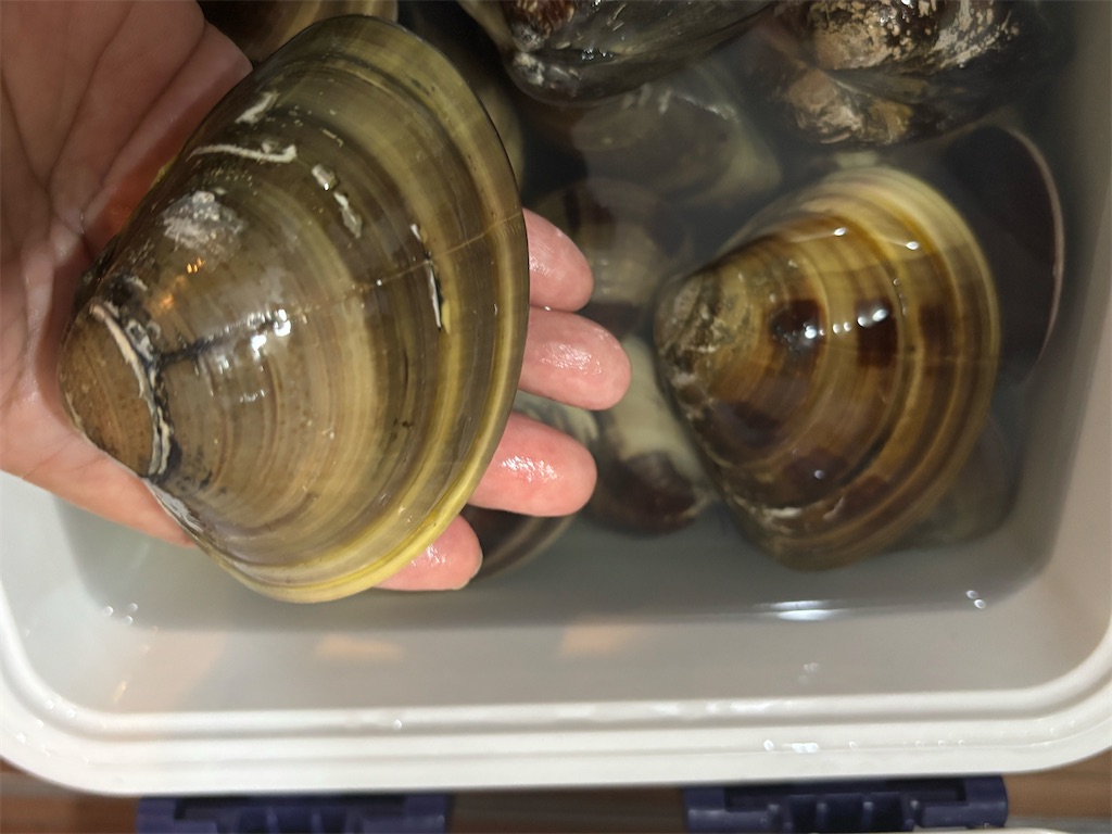 f:id:tomoko_recipe:20250720121849j:image