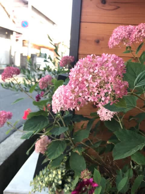 「今夜から雨ですね」記事の画像