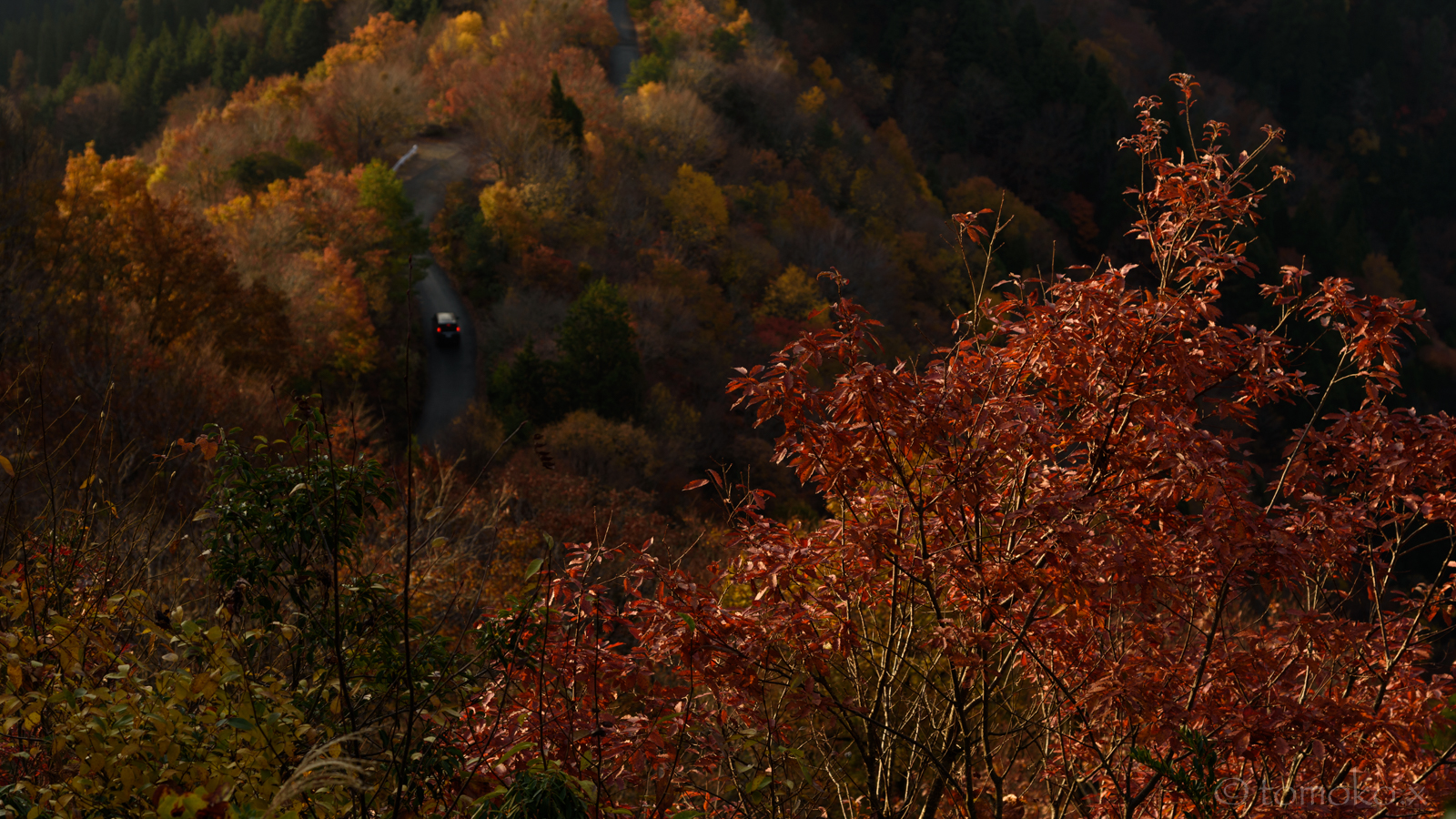 おにゅう峠の紅葉