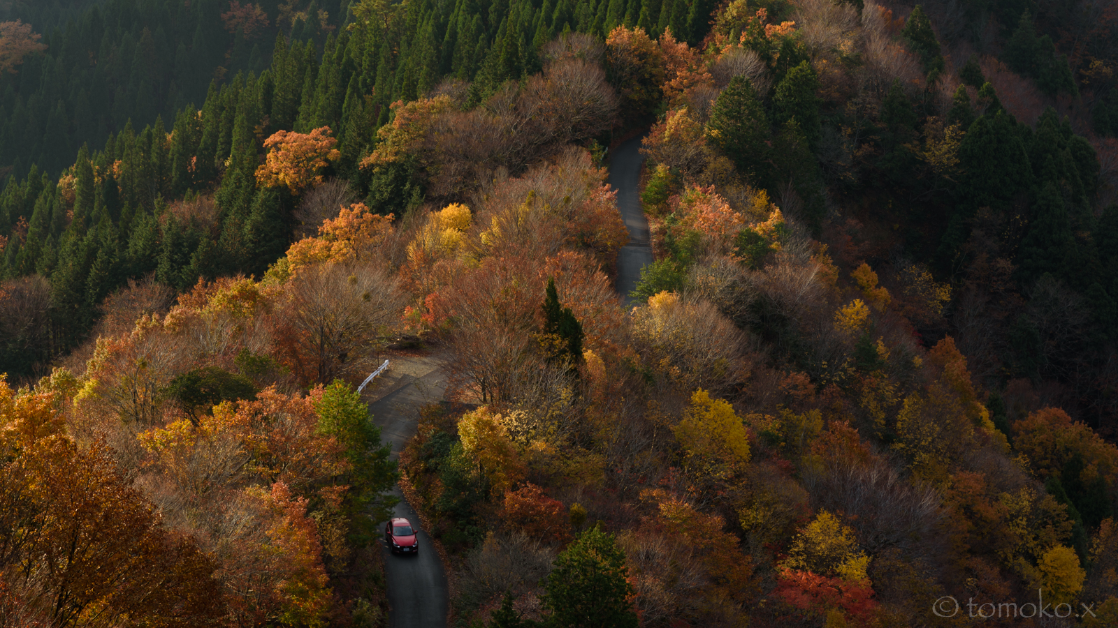 紅葉のおにゅう峠を走る赤い車