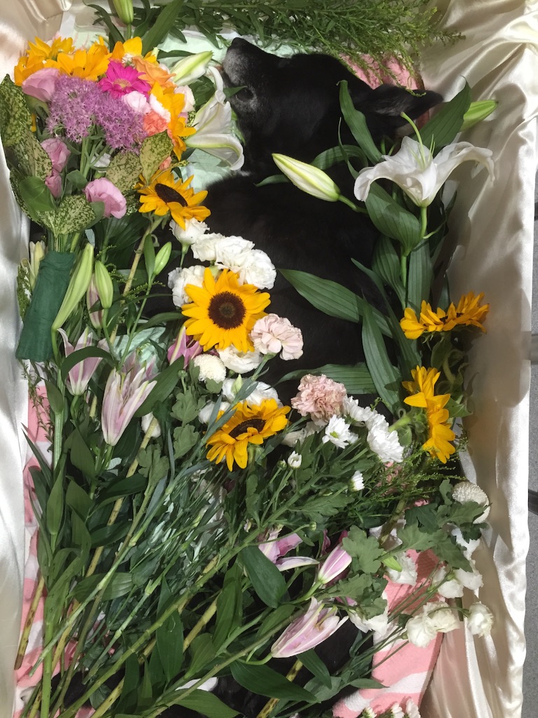 f:id:tomokoaida:20160905190610j:image f:id:tomokoaida:20160905190610j:image
