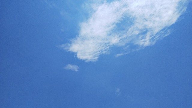 f:id:tomokobemajo:20210721124819j:image f:id:tomokobemajo:20210721124819j:image