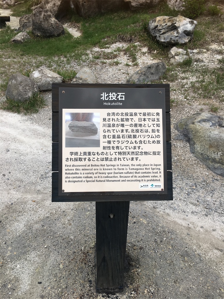 f:id:tomokoblog:20190617232327j:image