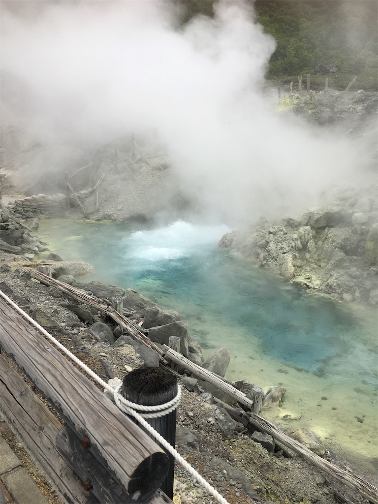 f:id:tomokoblog:20190617232338j:image