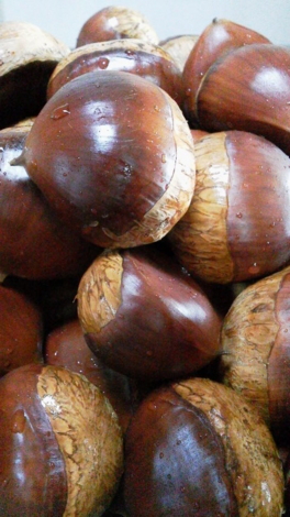 f:id:tomokogure:20111031123942j:image