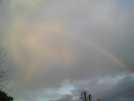 f:id:tomokogure:20111212150216j:image