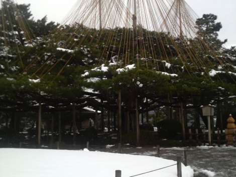 f:id:tomokogure:20111218094059j:image