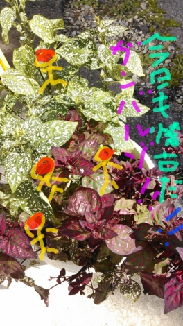 f:id:tomokogure:20121015115345j:image