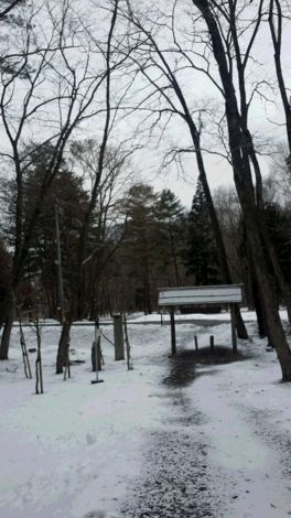 f:id:tomokogure:20160224092723j:image