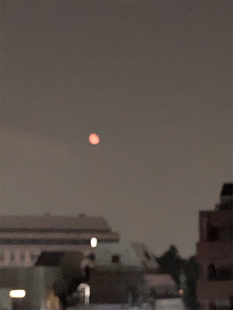 f:id:tomokogure:20190709130107j:image