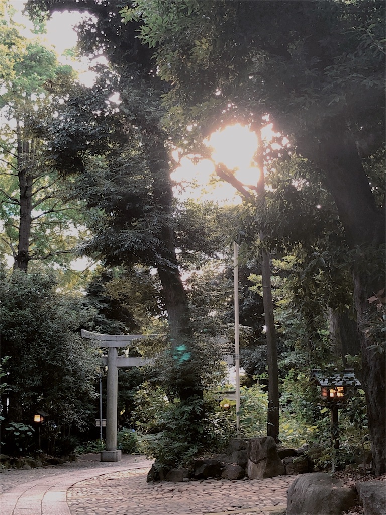 f:id:tomokogure:20220619230141j:image