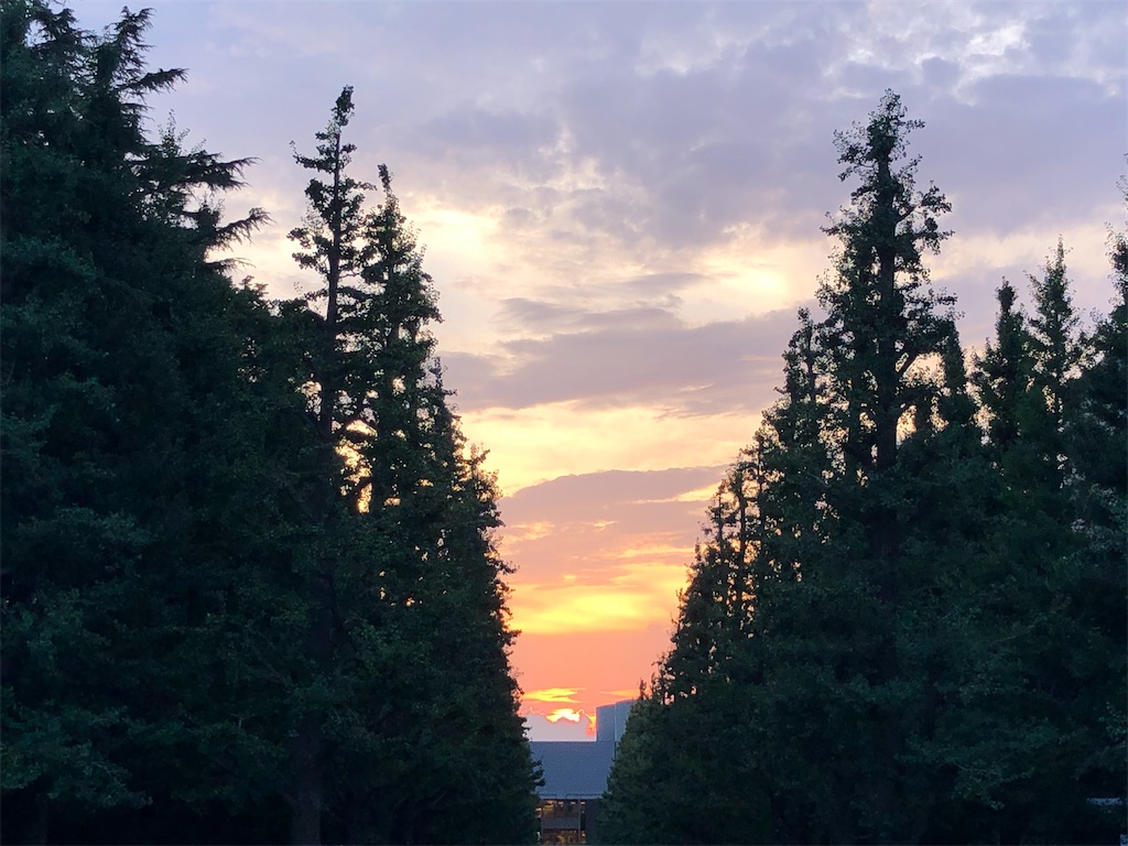 f:id:tomokogure:20220816130029j:image