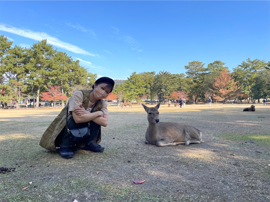 f:id:tomokogure:20221111223911j:image