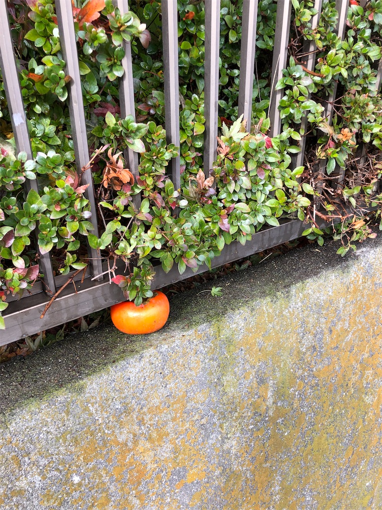 f:id:tomokogure:20221213110830j:image