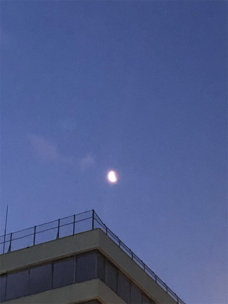 f:id:tomokogure:20250123103441j:image