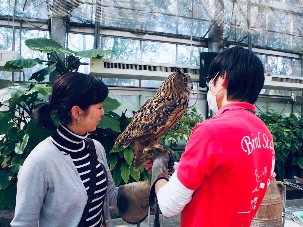 f:id:tomokotrip:20190318225550j:image f:id:tomokotrip:20190318225550j:image