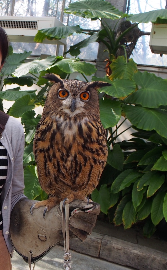 f:id:tomokotrip:20190318225604j:image f:id:tomokotrip:20190318225604j:image