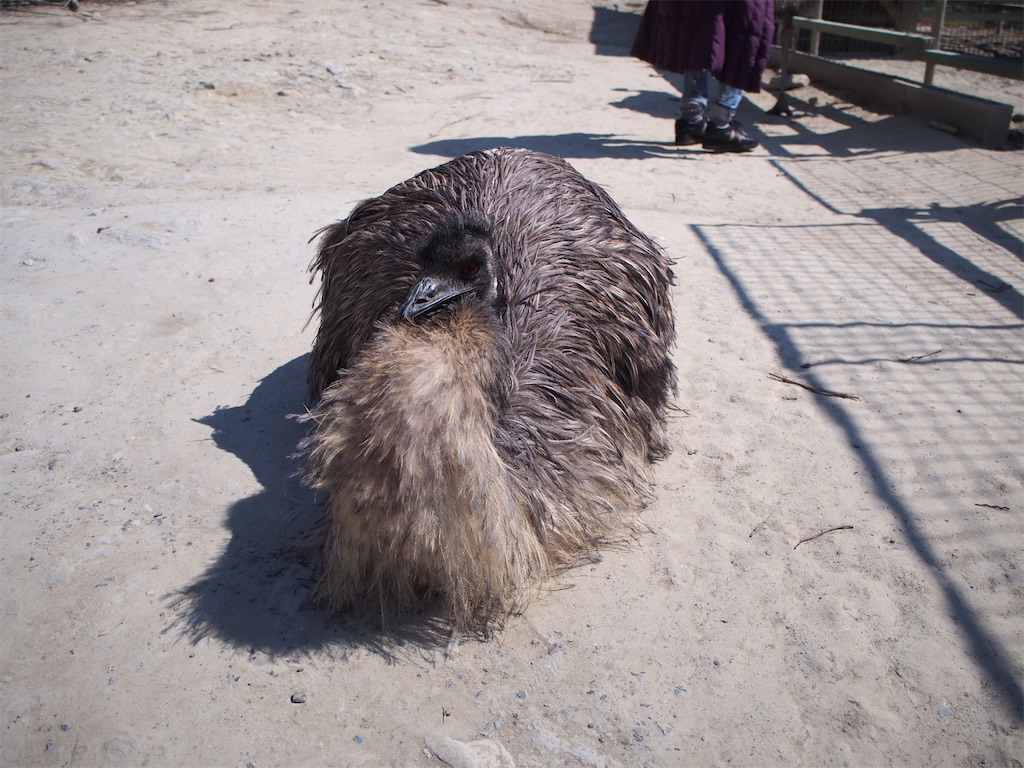 f:id:tomokotrip:20190318232026j:image f:id:tomokotrip:20190318232026j:image