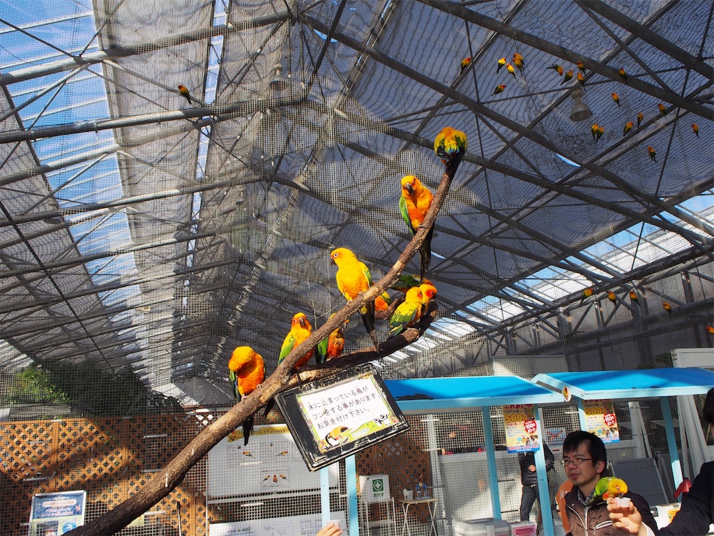 f:id:tomokotrip:20190318232237j:image f:id:tomokotrip:20190318232237j:image