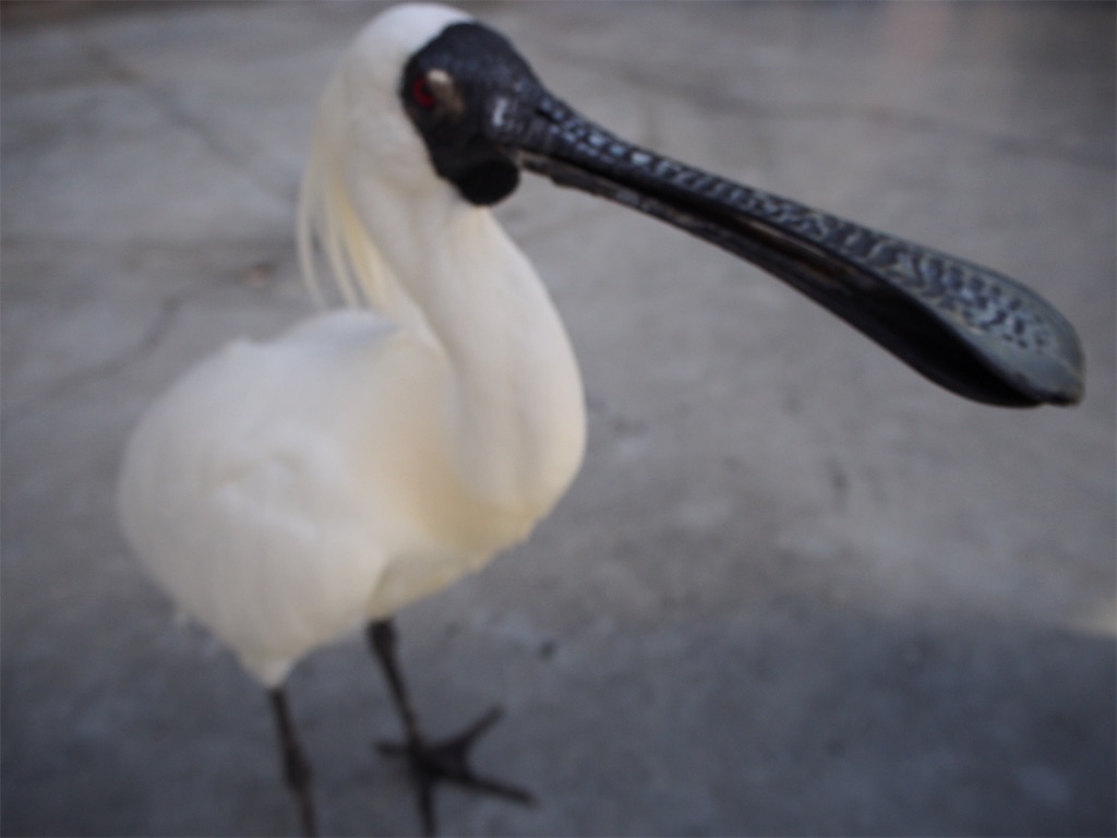f:id:tomokotrip:20190318232353j:image f:id:tomokotrip:20190318232353j:image