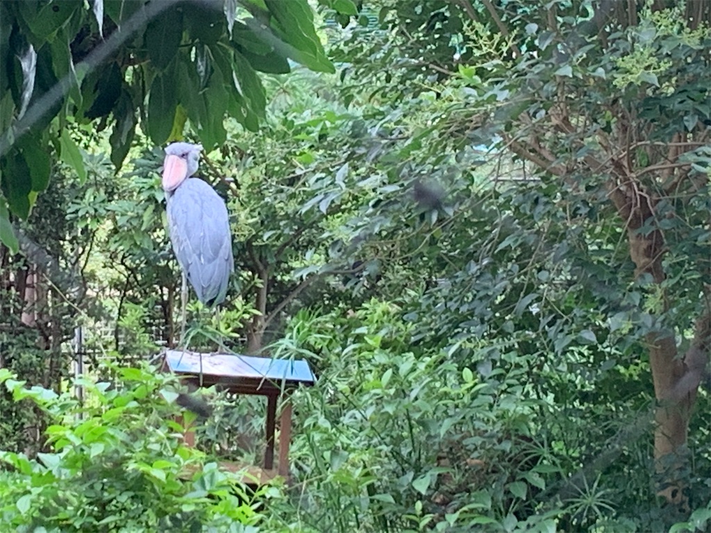 f:id:tomokotrip:20190810153033j:image f:id:tomokotrip:20190810153033j:image