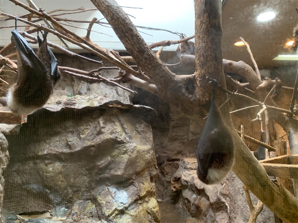 f:id:tomokotrip:20190810153711j:image f:id:tomokotrip:20190810153711j:image