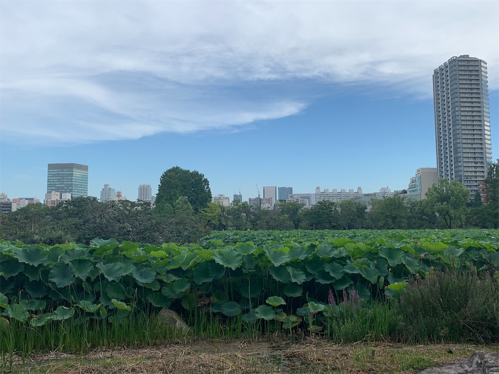 f:id:tomokotrip:20190810153742j:image f:id:tomokotrip:20190810153742j:image