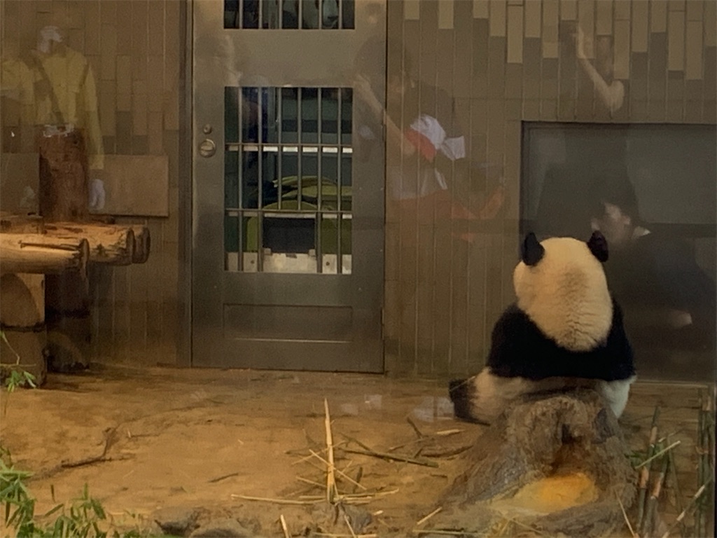 f:id:tomokotrip:20190810153749j:image f:id:tomokotrip:20190810153749j:image