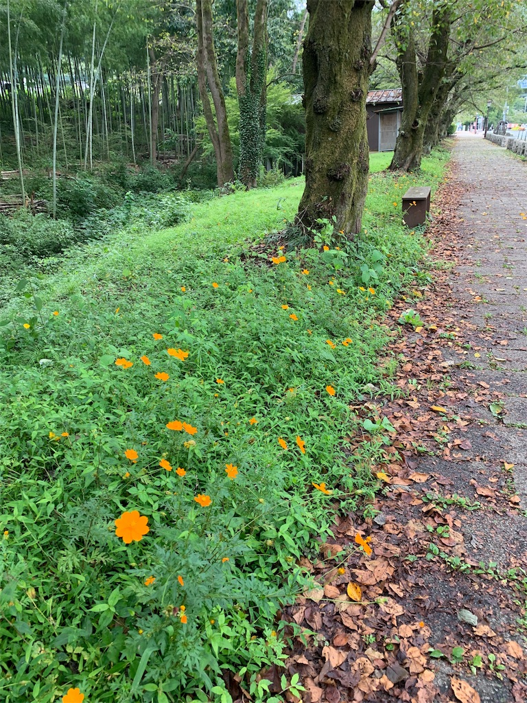 f:id:tomokotrip:20190914004043j:image f:id:tomokotrip:20190914004043j:image