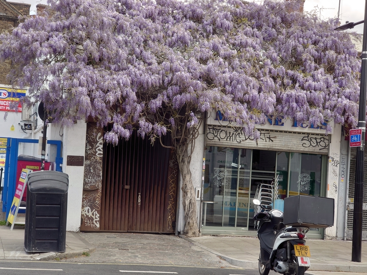 f:id:tomokouu:20210513162421j:plain