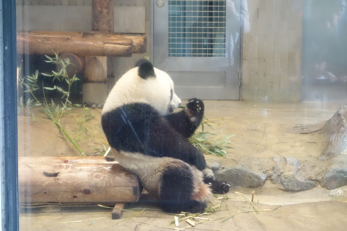 f:id:tomokuro0211:20190502215222j:plain f:id:tomokuro0211:20190502215222j:plain