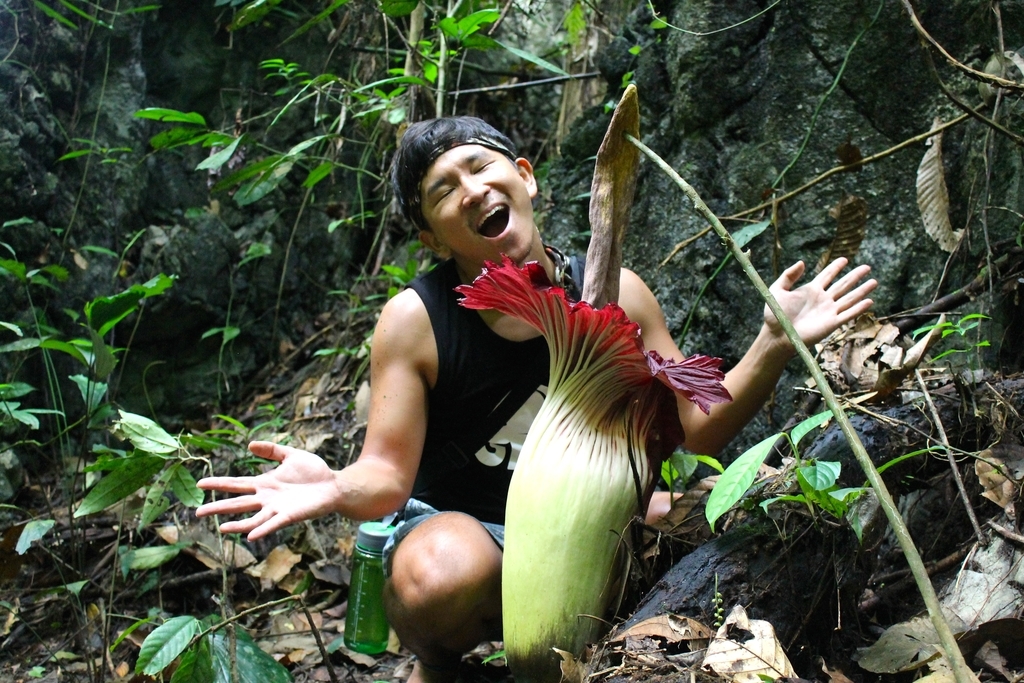 スマトラ旅行】世界一大きな花が見られる「バトゥカタック（Batu Katak