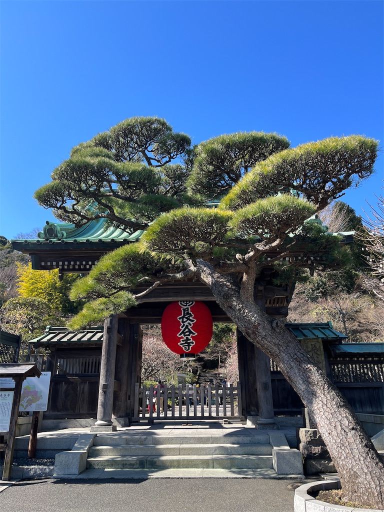 f:id:tomomi_m:20230318223449j:image