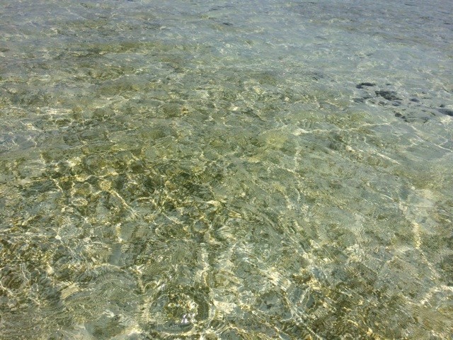 f:id:tomomii:20140812230424j:plain