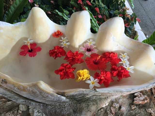 f:id:tomomii:20140812230551j:plain