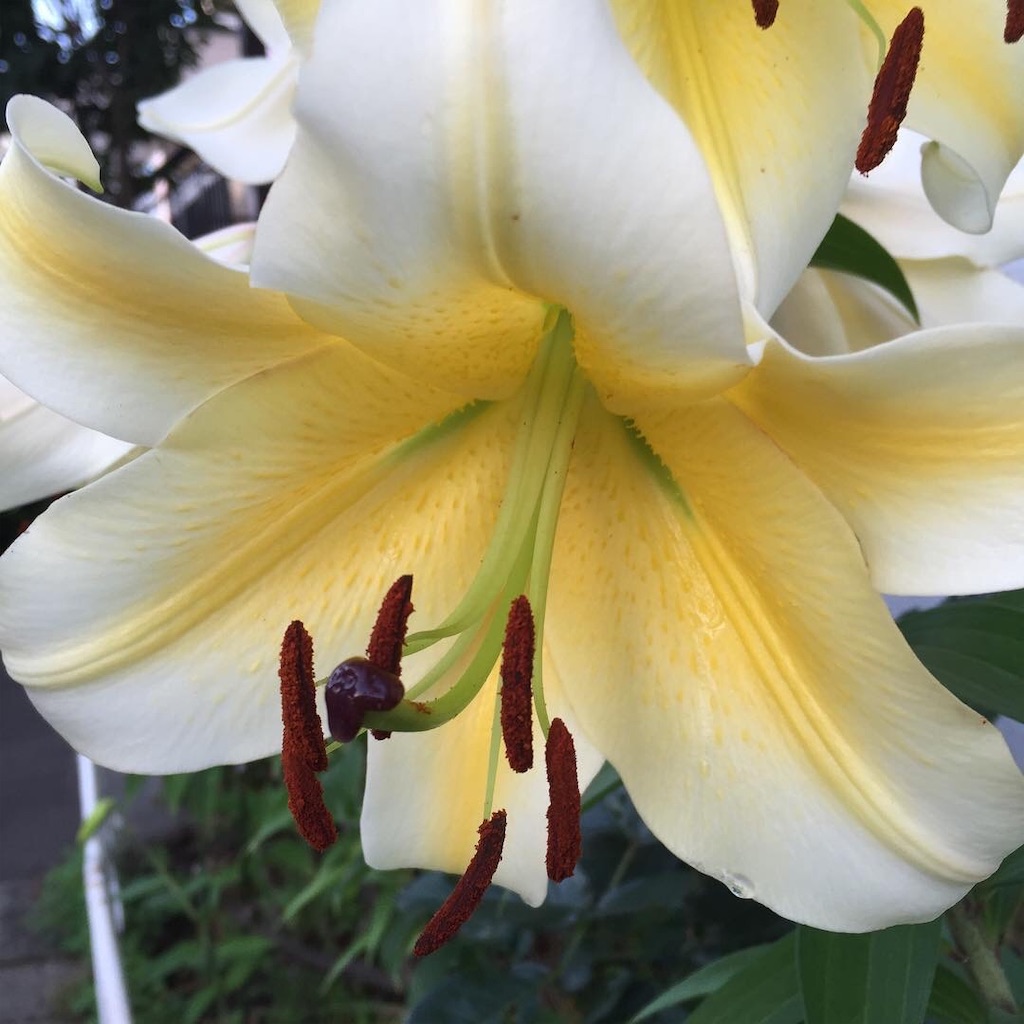 f:id:tomominkikaku:20190728213147j:image