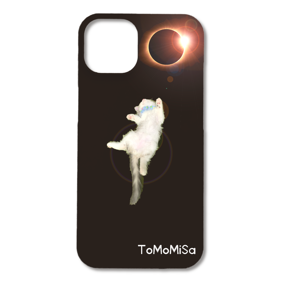 f:id:tomomisashop:20220308183029p:plain