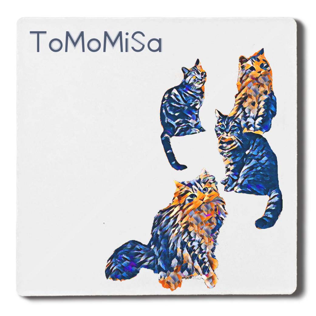 f:id:tomomisashop:20220401133036j:plain