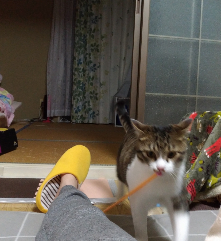 f:id:tomommy:20180420121340j:plain f:id:tomommy:20180420121340j:plain