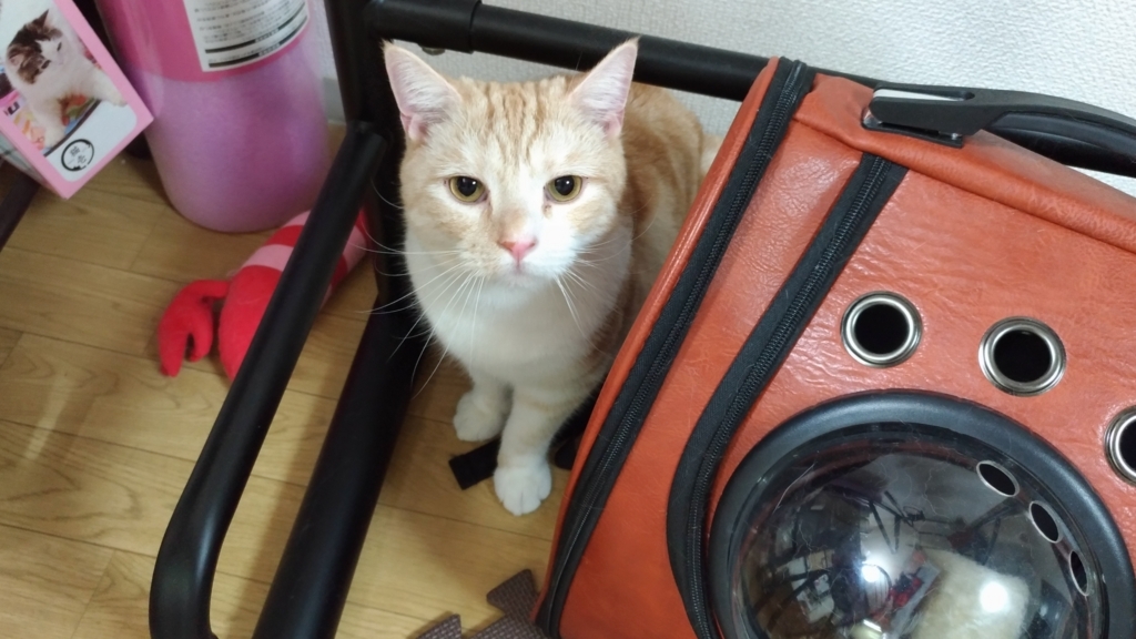 f:id:tomommy:20180726204110j:plain f:id:tomommy:20180726204110j:plain
