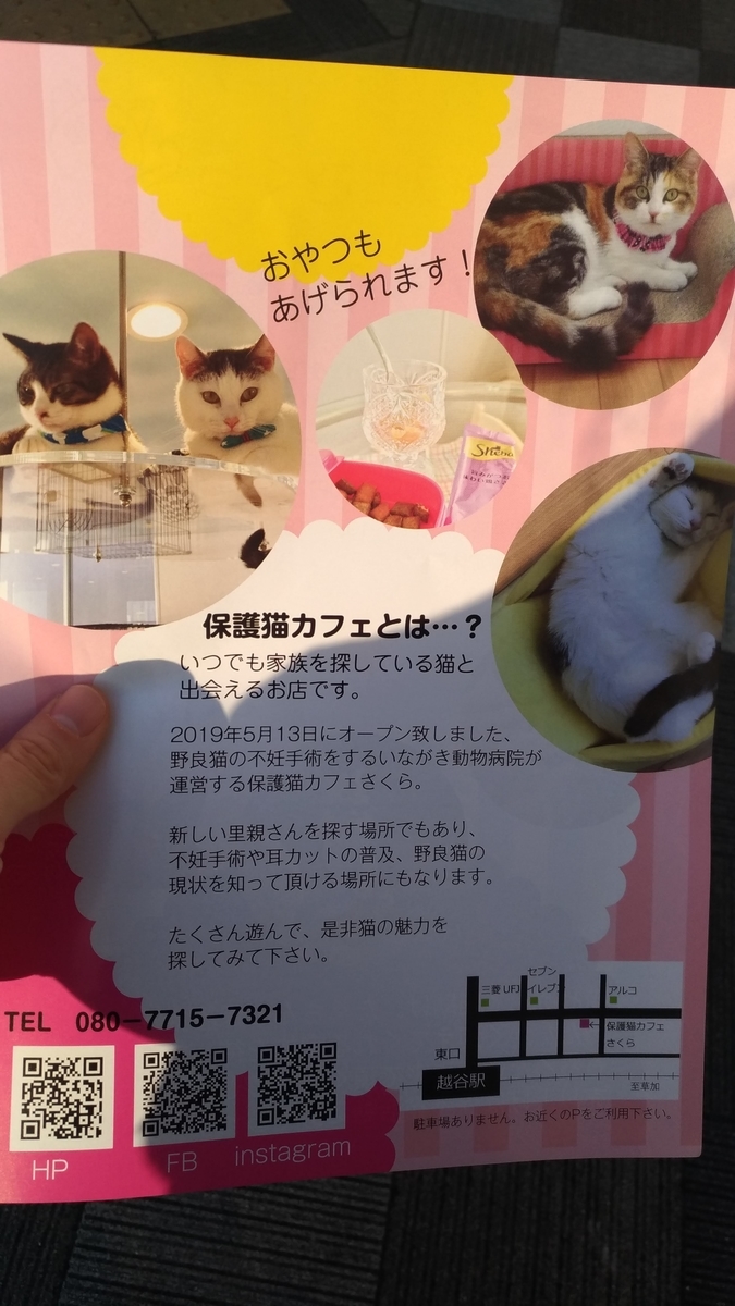 f:id:tomommy:20190512085916j:plain