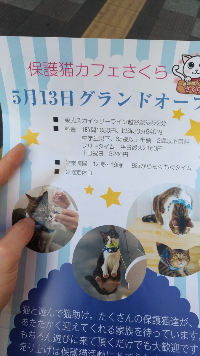 f:id:tomommy:20190512090112j:plain f:id:tomommy:20190512090112j:plain